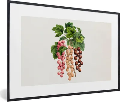 Produktbild von MuchoWow® Gerahmtes Poster Lebensmittel - Beeren - Pflanze 30x20 cm - Poster mit Schwarzem Bilderrahmen Wandposter Rahmen Foto Bilder - Kunstdruck - Bild-Poster