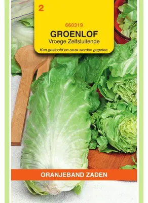 Imagen del producto de Lechuga Zichoriens variedad Oranje - 1 paquete de semillas