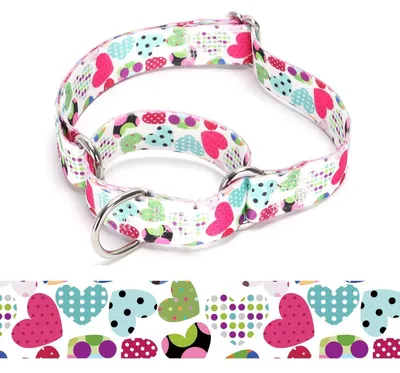 Zdjęcie produktu dla Obroża dla psa typu Martingale, nylonowa, regulowana, rozmiar M: 36-45 cm, model A85NO11