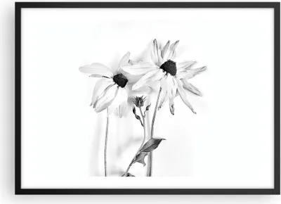Produktbild von Gerahmtes Poster - Schwarzer Rahmen - Verwelkt Blumen Monochrom - 70x50 cm - Wand Bild - Wanddeko - Wandbilder - Kunstposter - Wandposter - Bilderrahmen - Bilder - Kunstdruck - P2BAA70x50-4737
