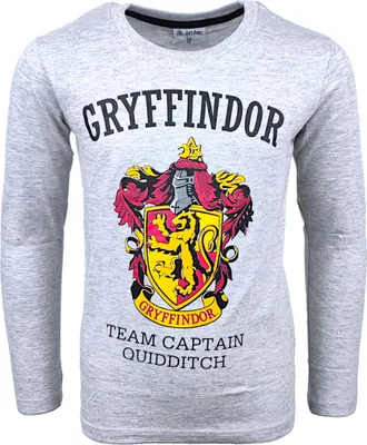 Produktbild von Langarmshirt Harry Potter Gryffindor Grau 164 cm