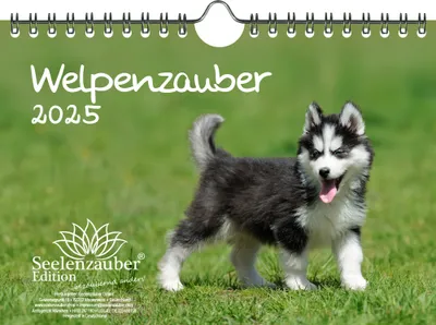 Produktbild von Welpenzauber DIN A5 Wandkalender für 2025 Hunde Welpen - Seelenzauber