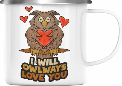 Produktbild von Trendation - Emaille Tasse Eule Geschenk Frauen I Will Owlways Love You Emaille Emaille Tasse Freundin Valentinstag (Silber)