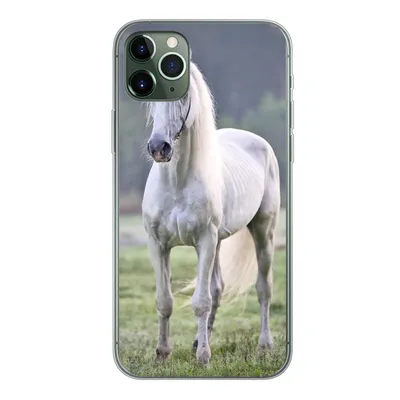 Produktbild von MuchoWow® Handyhülle Schutzhülle Hülle für iPhone 11 Pro Max Pferd - Licht - Morgen Silikon Softcase Handy Hülle - Schutz