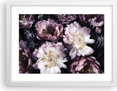 Produktbild von Gerahmtes Poster - Weißer Rahmen - Pfingstrosen Veilchen Blumen - 40x30 cm - Wand Bild - Wanddeko - Wandbilder - Kunstposter - Wandposter - Bilderrahmen - Bilder - Kunstdruck - P2WAA40x30-5076