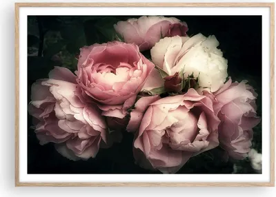 Produktbild von Gerahmtes Poster - Rahmen in heller Eiche - Pfingstrose Blume - 100x70 cm - Wand Bild - Wanddeko - Wandbilder - Wandposter - Bilderrahmen - Bilder - Kunstdruck - Wandbild - P2NAA100x70-3930