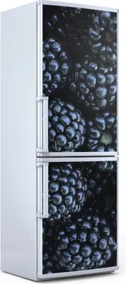 Produktbild von Magnete Dekorative - 70 cm x 190 cm - Küche - Magnetmatte Kühlschrankmagnete - Brombeere Obst