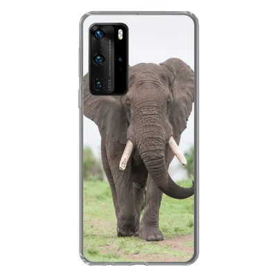 Produktbild von MuchoWow® Handyhülle Schutzhülle Hülle für Huawei P40 Pro Elefant - Tiere - Gras - Natur Silikon Softcase Handy Hülle - Schutz