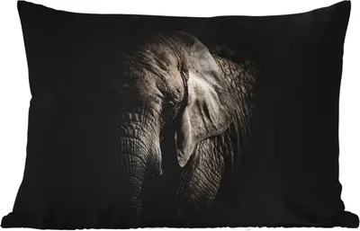 Produktbild von MuchoWow® Outdoor Kissen - Elefant - Porträt - Tiere - Schwarz - 50x30 cm - Wetterfest - Lounge Kissen - Sofa kissen - Wohnzimmer Dekoration