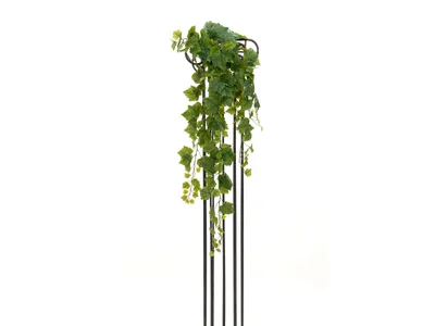 Immagine prodotto di EUROPALMS Grapevine Premium, artificiale, 100 cm (82502514)