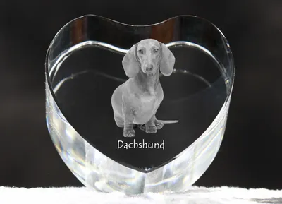 Obrázek produktu pro Jezevčík drátosrstý - fotografie psa v krystalu, křišťálové srdce, jedinečný rám s fotografií značky Art-Dog