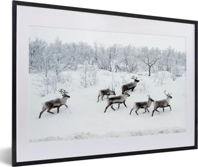 Produktbild von MuchoWow® MuchoWow® Gerahmtes Poster Rentier - Schnee - Wald - Winter 60x40 cm - Poster mit zchwarzem Bilderrahmen - Schlafzimmer - Plakat in Rahmen - Drucken
