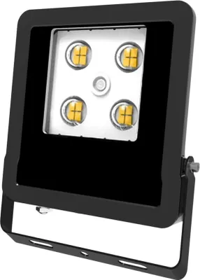 Immagine prodotto di EVN Lichttechnik Proiettore LED LFE100902