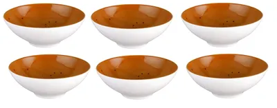 Produktbild von 6 x Coupschale Müslischale Terrakotta 14,5cm COUNTRY LIFE Seltmann Weiden Serie Coup Fine Dining