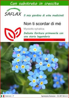 Immagine prodotto di SAFLAX  - Non ti scordar di mé - 150 semi - Con substrato - Myosotis