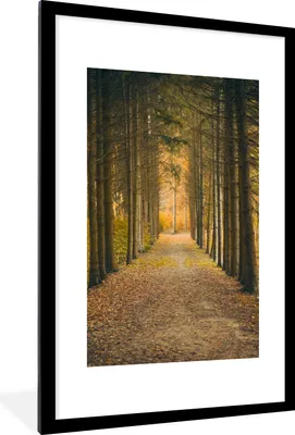 Produktbild von MuchoWow® Gerahmtes Poster Pfad - Bäume - Wald 60x90 cm - Poster mit Schwarzem Bilderrahmen Wandposter Rahmen Foto Bilder - Dekoration - Wandposter Wohnzimmer - Hochwertig