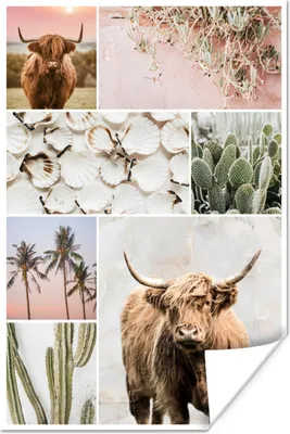 Produktbild von MuchoWow® Poster Schottische Highlander - Collage - Pflanzen 40x60 cm - Plakate für die Wand - Poster Babyzimmer