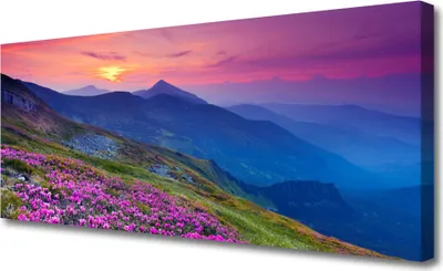 Produktbild von Tulup Leinwand-Bilder 125x50 Wandbild Canvas Kunstdruck Gebirge Wiese Blume Landschaft