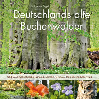 Productafbeelding van Deutschlands alte Buchenwälder