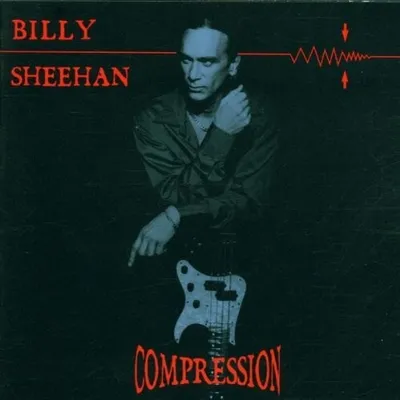 Produktbild von Sheehan,Billy-Compression