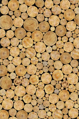 Produktbild von Wallario selbstklebendes Poster - Holzstapel rund, Größe: 61 x 91,50 cm