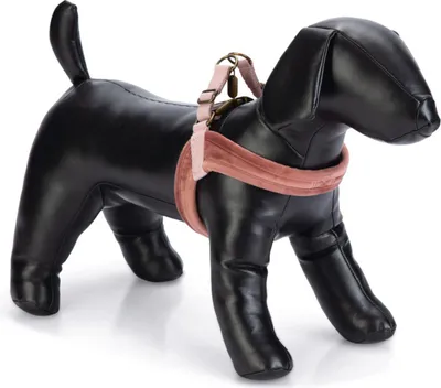 Image de Designed by Lotte Velura - Harnais pour chien - rose - XXS - 15 mm x 36 cm