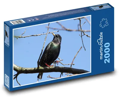 Obrázek produktu pro Puzzle 2000 Špaček na větvi - martinpuzzle