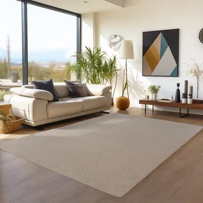 Obrázek produktu pro Koberec s vlasovou strukturou, barva béžová, rozměry 280 x 370 cm, vhodný do obývacího pokoje a ložnice