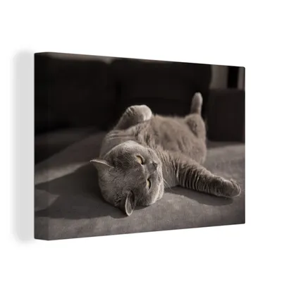 Produktbild von OneMillionCanvasses® - Leinwandbilder - 150x100 cm, Tier - Katze - Grau, Wandbilder Kunstdruck Wanddekoration