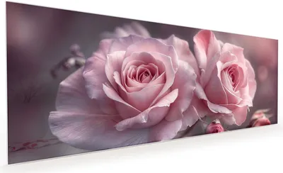 Produktbild von Küchenrückwand Spritzschutz Glas mit Motiv Romantische Rosen 40 x 40 cm