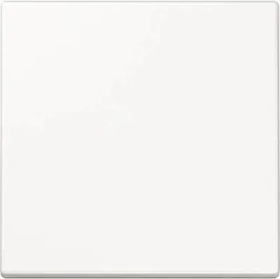 Immagine prodotto di Steuertaste Std. LS1700WW (LS1700WW)