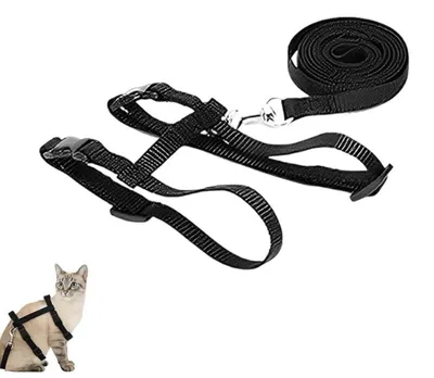 Image de Harnais pour chat avec laisse, réglable, en nylon, anti-évasion, longueur 120 cm