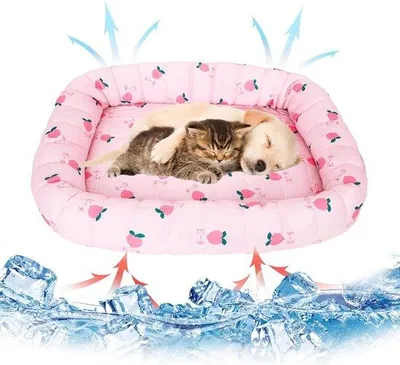 Image de Tapis rafraîchissant pour animaux, auto-rafraîchissant, lavable, taille S (45 x 40 cm)