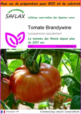 Image de SAFLAX Garden in the bag - Tomate Brandywine - 10 graines - Lycopersicon