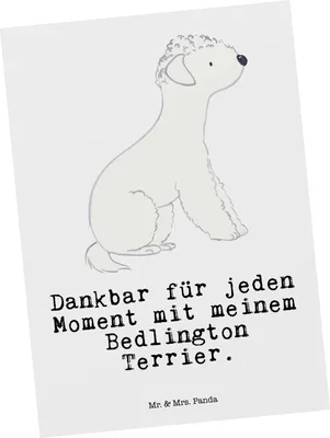 Produktbild von Mr. & Mrs. Panda Postkarte Bedlington Terrier Moment - Weiß - Geschenk, Fotokarte, Postkarten, Ansichtskarten, Ansichtskarte, Grußkarte