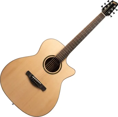 Zdjęcie produktu dla Henry's HEGADNAT Daily - Gad1 Natural Gitara akustyczna Jumbo
