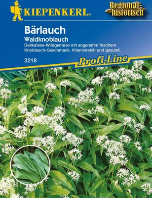 Produktbild von Kiepenkerl Profi-Line Bärlauchsamen Waldknoblauch