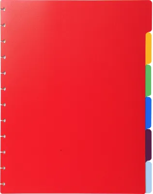 Produktbild von Exacompta 10x Register für Prospekthüllen PP 300µ 6-teilig A4 Maxi 86002E