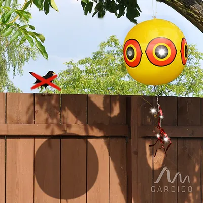 Produktbild von Vogelfrei Ballon