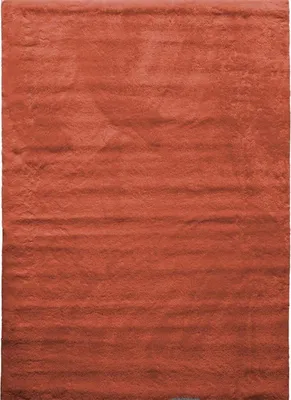 Produktbild von Weicher Teppich aus Terracotta-Polyester 160x220