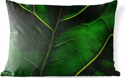 Produktbild von MuchoWow® Outdoor Kissen - Schatten über einem grünen Blatt - 60x40 cm - Wetterfest - Lounge Kissen - Zierkissen - Kissen für Innenräume