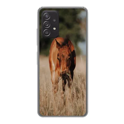 Produktbild von MuchoWow® Handyhülle Schutzhülle Hülle für Samsung galaxy a73 Pferd - Sonne - Landschaft Silikon Softcase Handy Hülle - Handyhülle