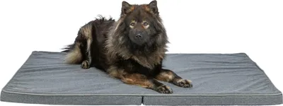 Produktbild von TRIXIE Matratze Samoa Vital - dunkelgrau - 140 × 90 cm