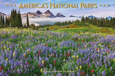 Produktbild von America's National Parks