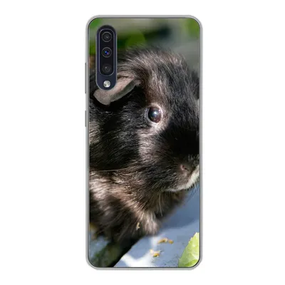 Produktbild von MuchoWow® Handyhülle Schutzhülle Hülle für Samsung Galaxy A30s Meerschweinchen im Garten Silikon Softcase Handy Hülle - Karteninhaber