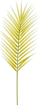 Produktbild von artplants.de Deko Areca Palmenwedel BOHAI, 100cm - Künstliche Palmenblätter