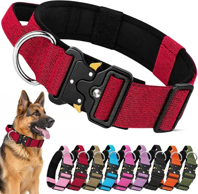 Produktbild von Halsband für mittelgroße Hunde, robustes Nylon, Größe M, für den Alltag