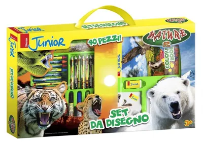 Productafbeelding van Dynit Focus Junior - Natuur - Set schrijfwaren, 40 stuks. Officiële merchandise