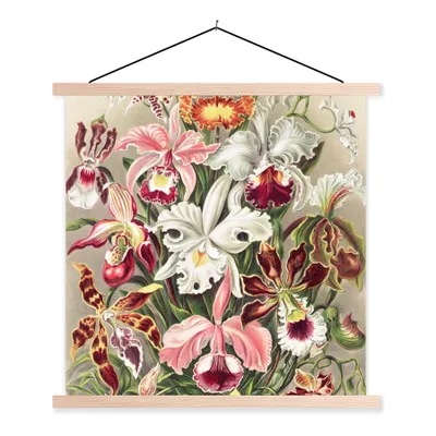 Produktbild von MuchoWow® Textilposter Blumen - Ernst Haeckel - Jahrgang - Orchidee 60x60 cm mit holzfarbenen Rahmen - Wanddekoration