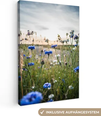 Zdjęcie produktu dla MuchoWow® - Obraz na płótnie - Kwiaty - Lato - Chaber - Niebieski - Słońce - Chmury, fototapeta, dekoracja ścienna obrazy salon, 40x60cm